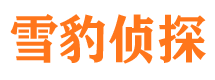 右江市调查公司